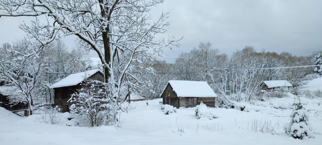 Vila Havka Holiday home